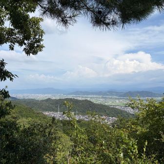 岩神山からの景色