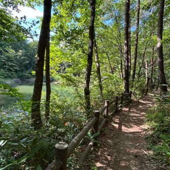 🌳ため池もひっそり♪