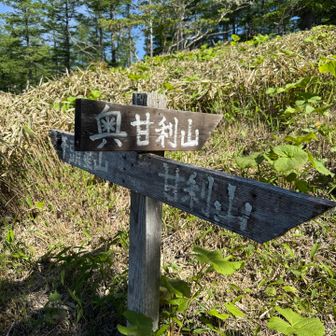 奥甘利山へ