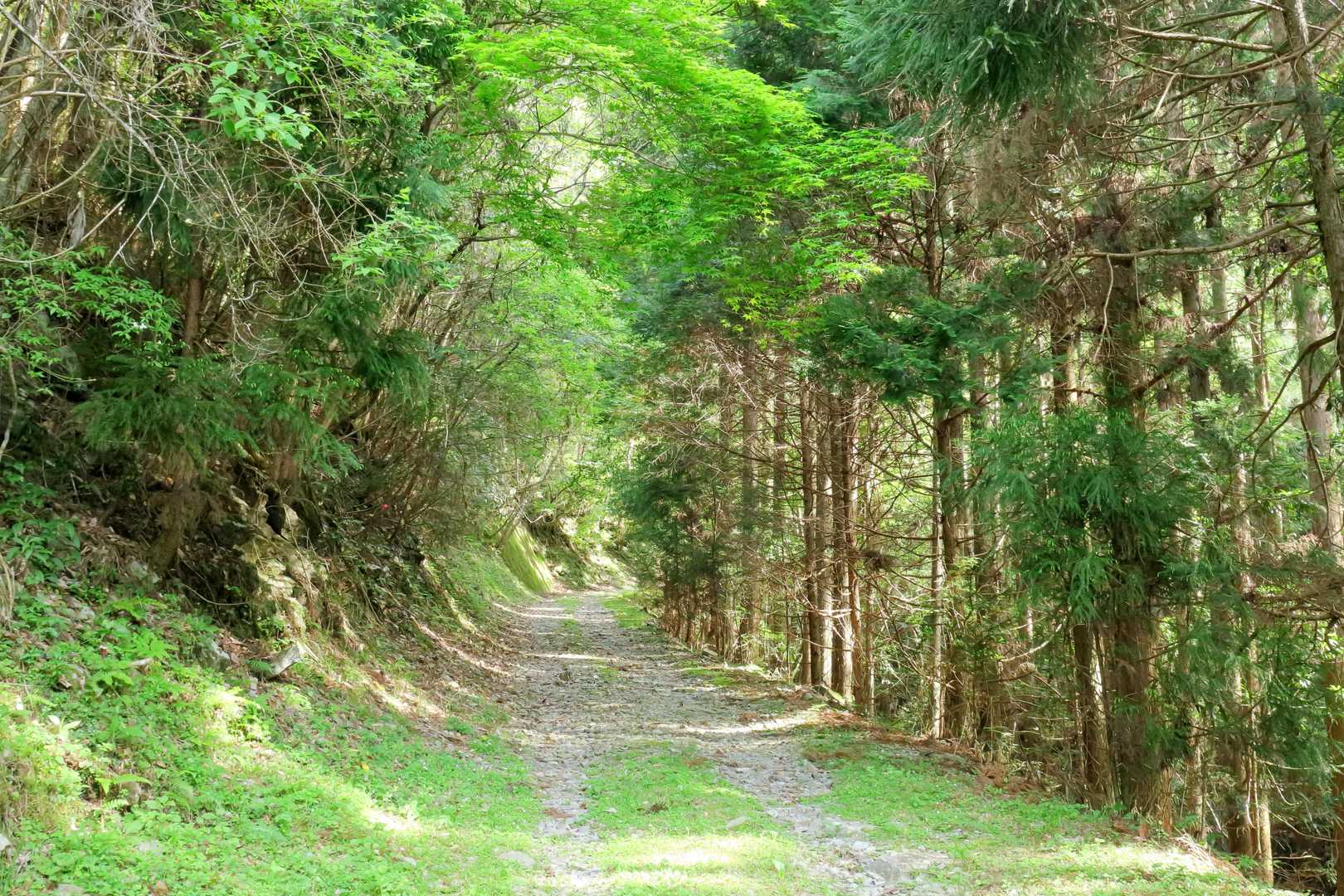 白髪山 往復コースの写真