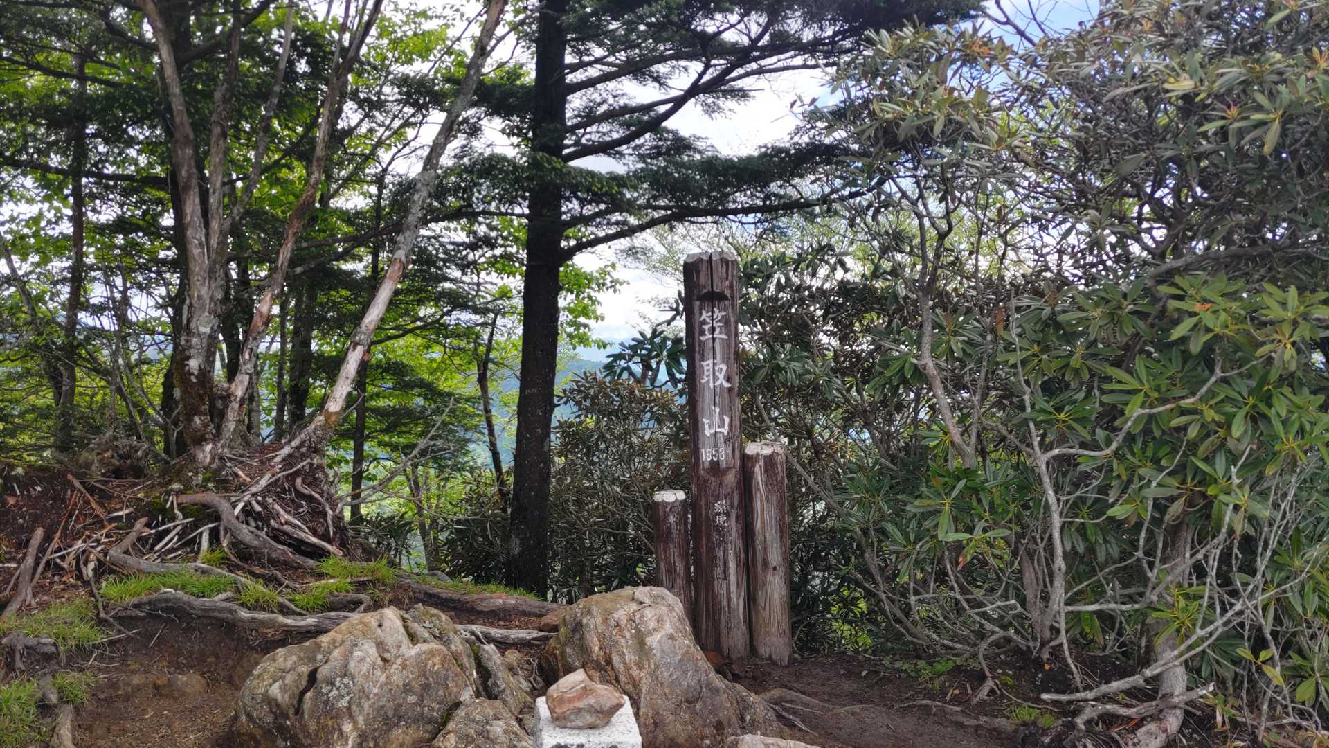ヤブ沢峠-笠取山 周回コースの写真