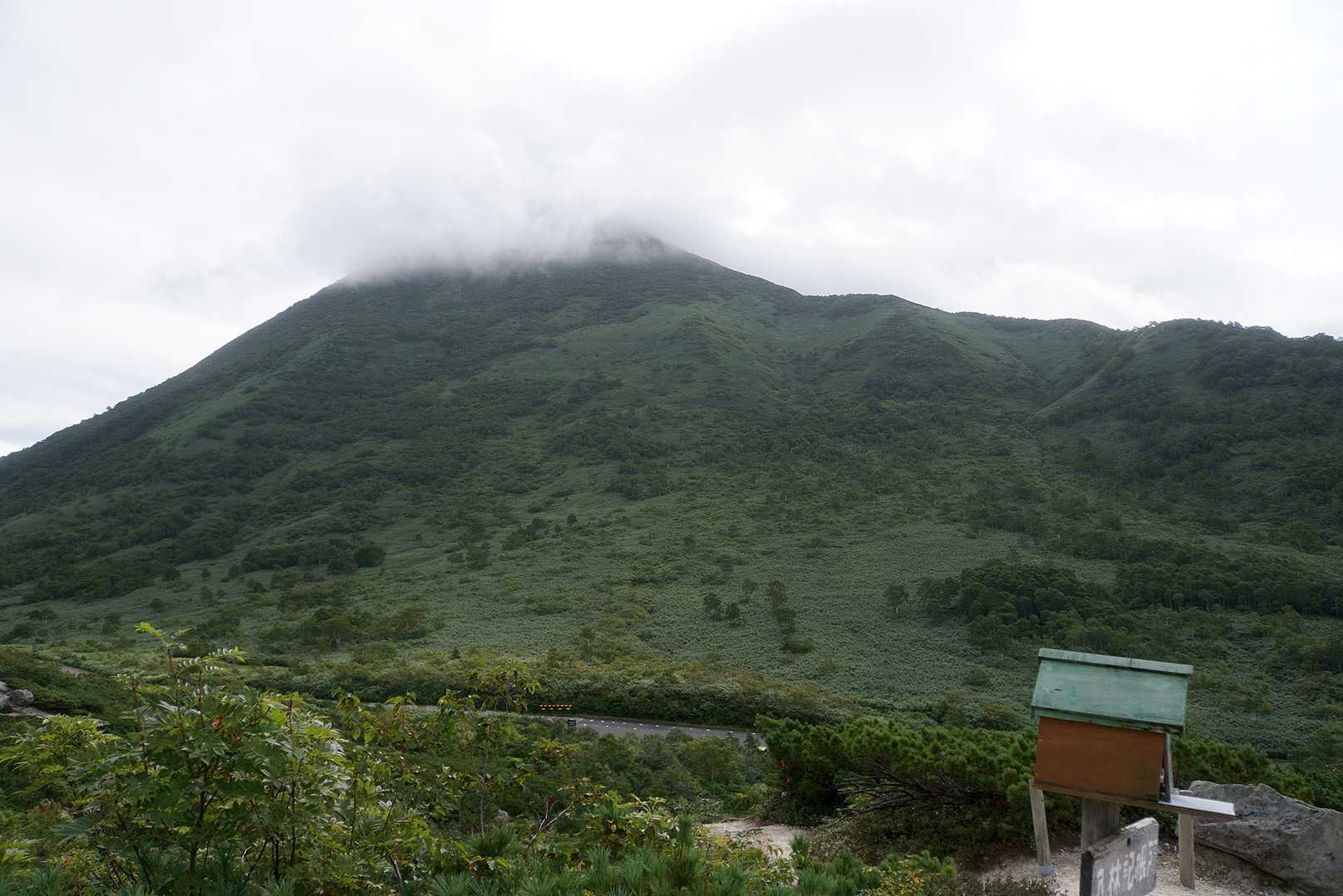 ニセコ登山は今日が初めて。

アンヌプリも登ってみたいなって見上げたら、二日酔いのオレのアタマの中みたいに真っ白なガスがかかっていた。