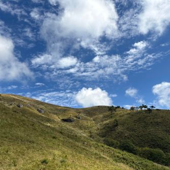 この空の明るさよ、この感動を詠んでみたい
「秋風に白雲仰ぎ心酔う」