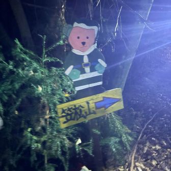 下山しました❗️（←登り始める時に撮り忘れたものです。）
今日は餅つきからカウントして14,000歩でした。
大人の夜遊びは、これにて、おしまい。