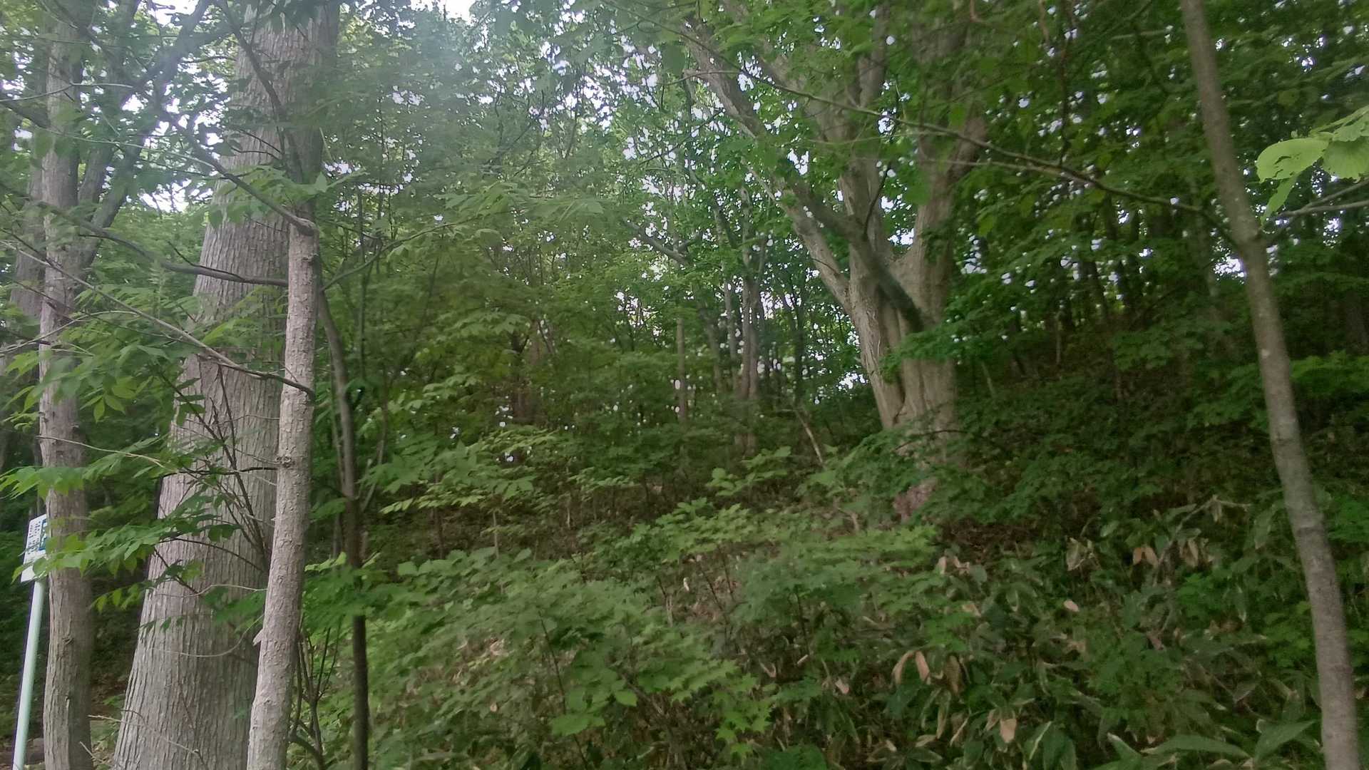 んで無事下山！