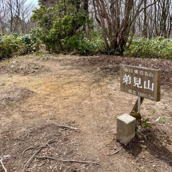 弟見山到着！
ここは眺望はなし
イケオジ三人衆が持参した椅子に座ってのんびりされていた
道中3回お会いしたが気さくに話しかけてくれ、優しい人たちであった☺️