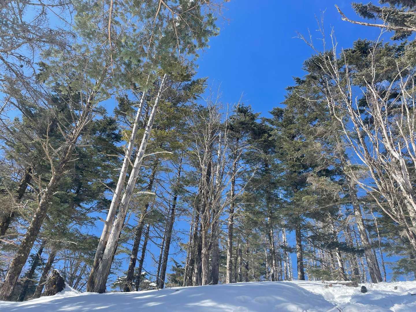 気持ちが良すぎる青空‼︎