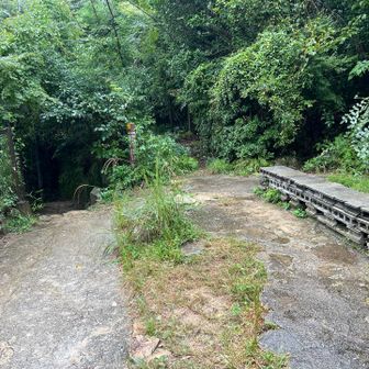 悩んだすえに旧麻耶道を選択、雨降りの日の旧麻耶道は初めて