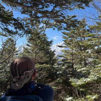 木の間から権現岳