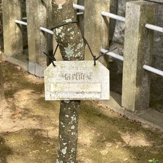 山頂プレートは祠の左奥にあった