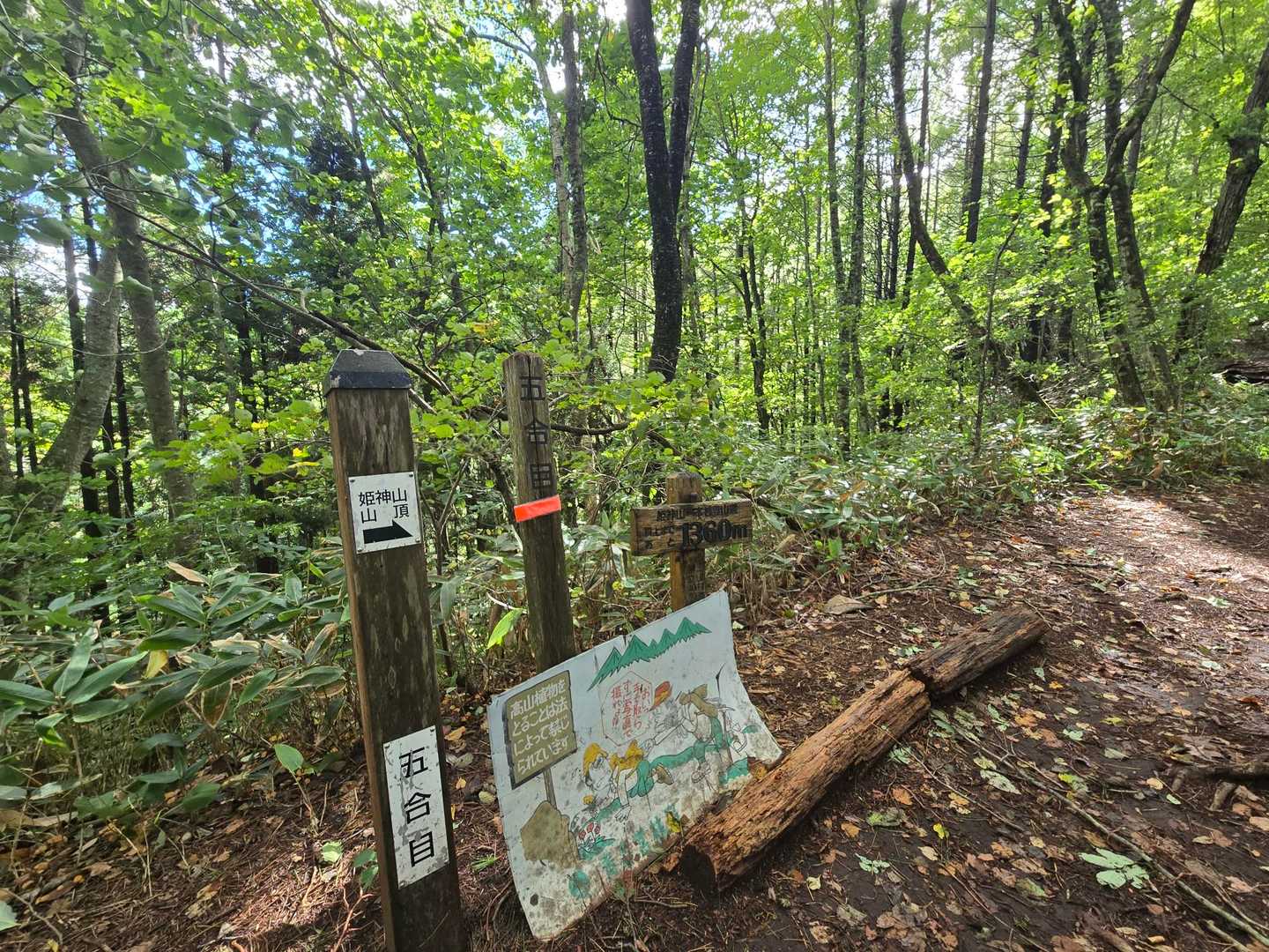あっという間に五合目。まだまだ樹林帯です。