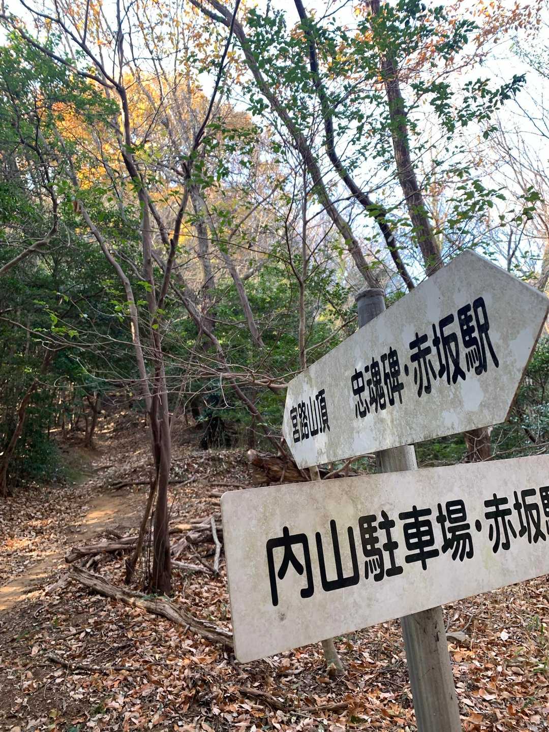 内山駐車場からスタート。
師走だし郵便局寄ったり電話したりしてたら
トイレ済ませてないことに気付く💦
急ぎ足で登ろう💦💦
