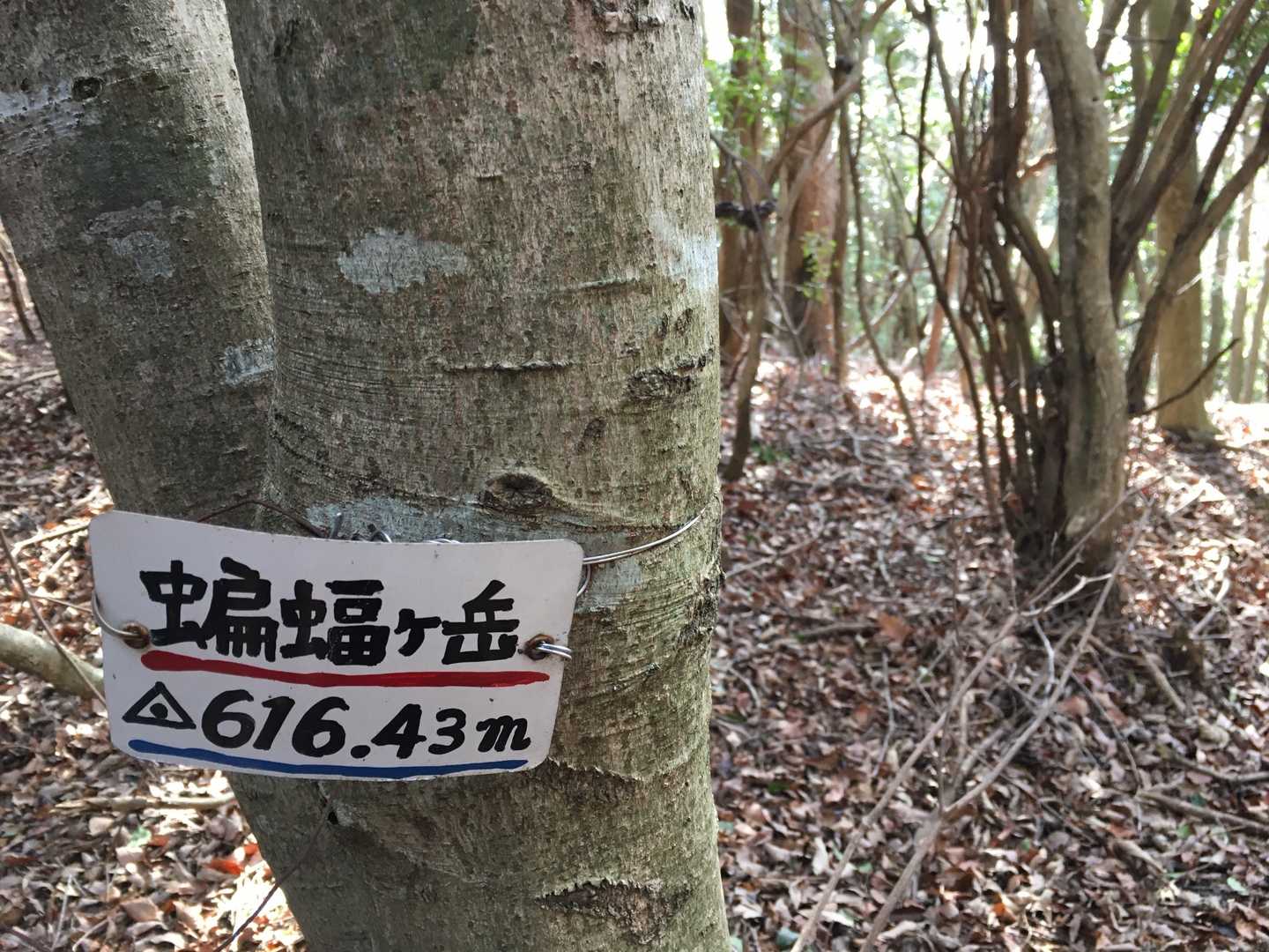 コウモリヶ岳