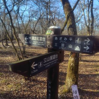 立山（たちやま）ここは山頂から少し
離れたところに展望台が案内されてる