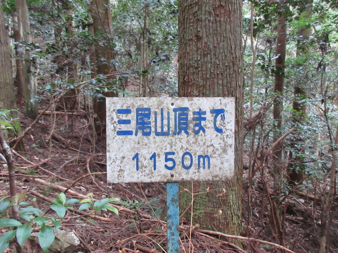 山頂まで100ｍ毎にこの標識があります。
結構正確でしたね。

