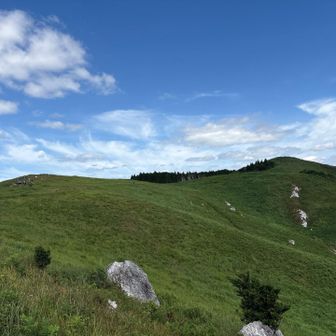 振り返って📷
