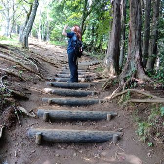 山道にはいると人が少なくなりました