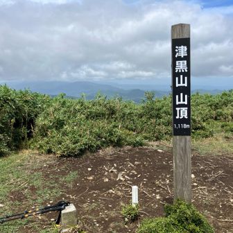 で、到着！　虫は気にならず風は涼しくて気持ちいい