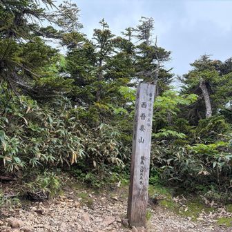西吾妻山山頂、眺望なし
