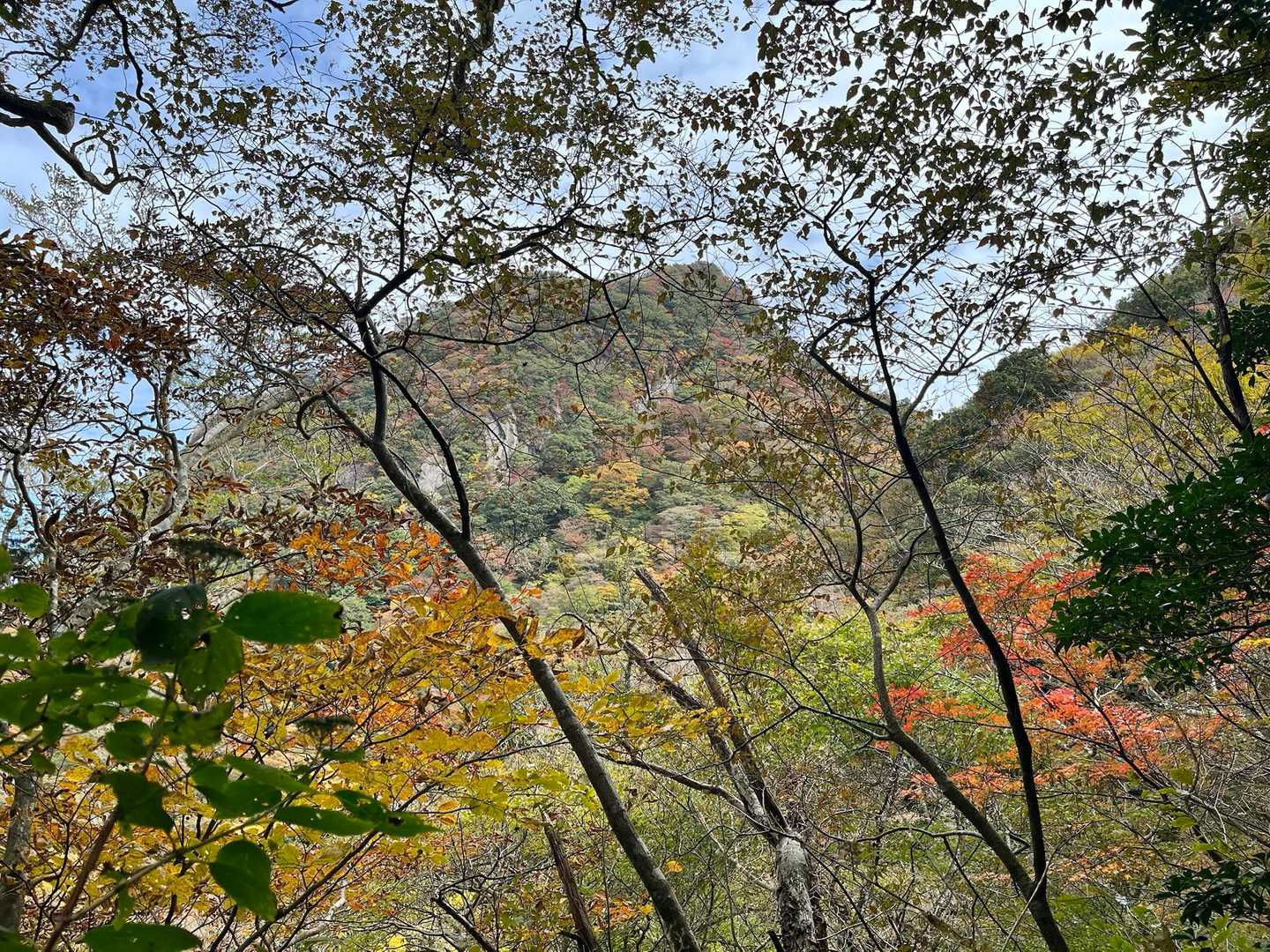 経ヶ岳-笹岳 周回コースの写真