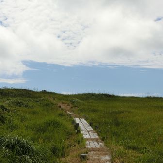 湿原の向こうに青空。