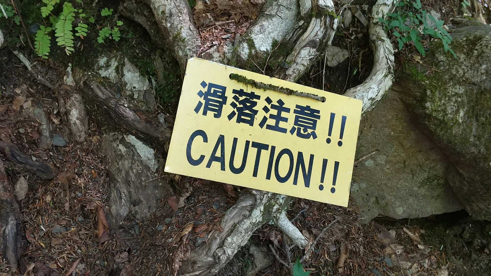 至るところに
山ランの勢いでは飛びますからね
その下には地引き網がセット
網に引っ掛かったら🐟️だよ😆