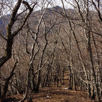 不逢山から進行方向を望む。節刀ヶ岳はまだまだ先
