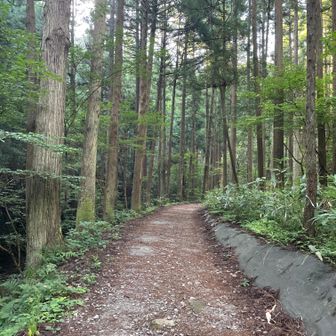 どんどん虫が付いてくる。