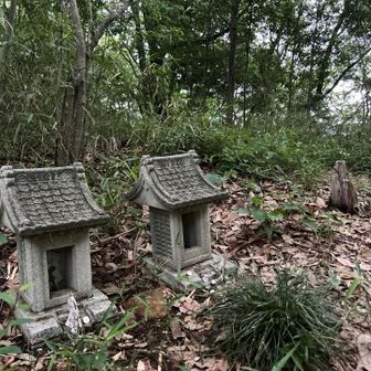 直ぐ隣の山へ。。。