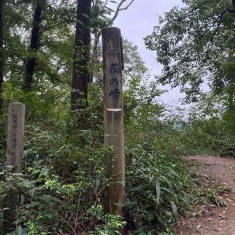 峠越え