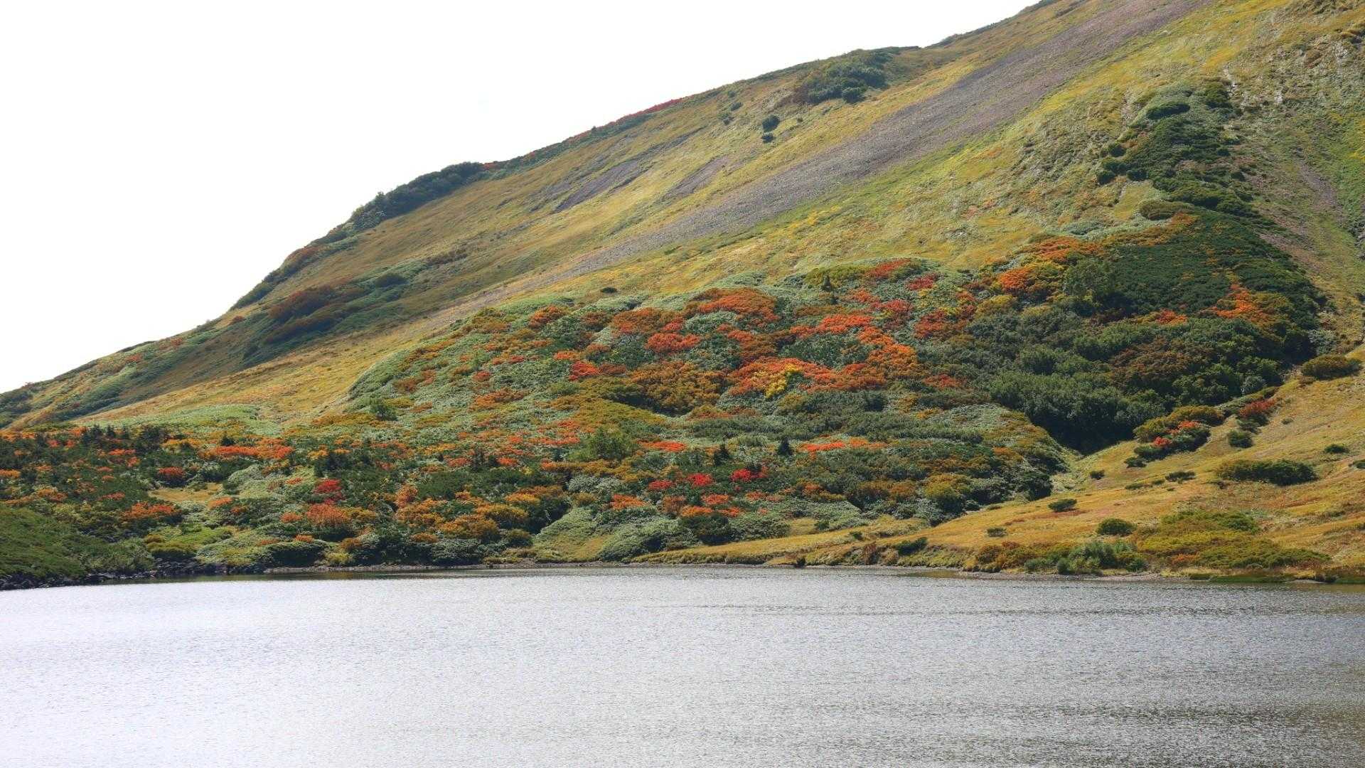 紅葉がいい感じ🍁