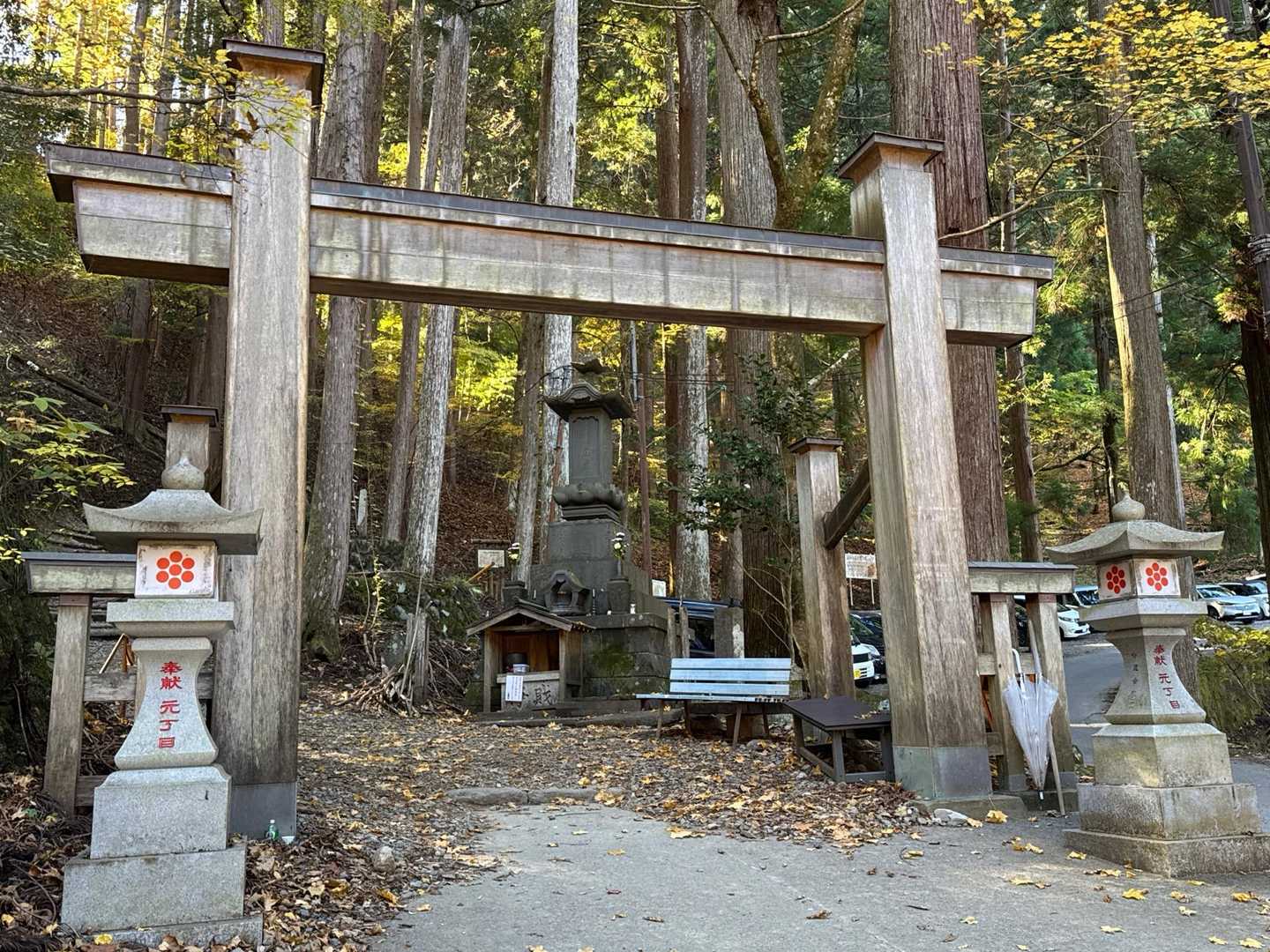 スタートです