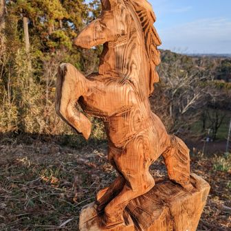 木彫り馬頭観音？　東方向から鐘の音が響いてくるようになったが、笠森寺は遠すぎる･･･