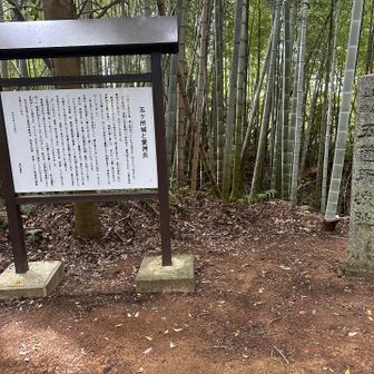 最初に城跡があったので寄って来ました