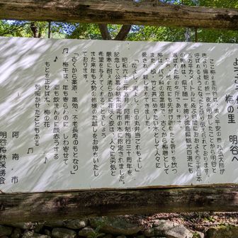 登山口が分からず
とりあえずこの看板から登り始める
（本当の登山口は別にあった）