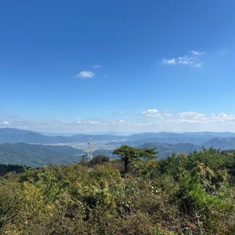 眺め良し。