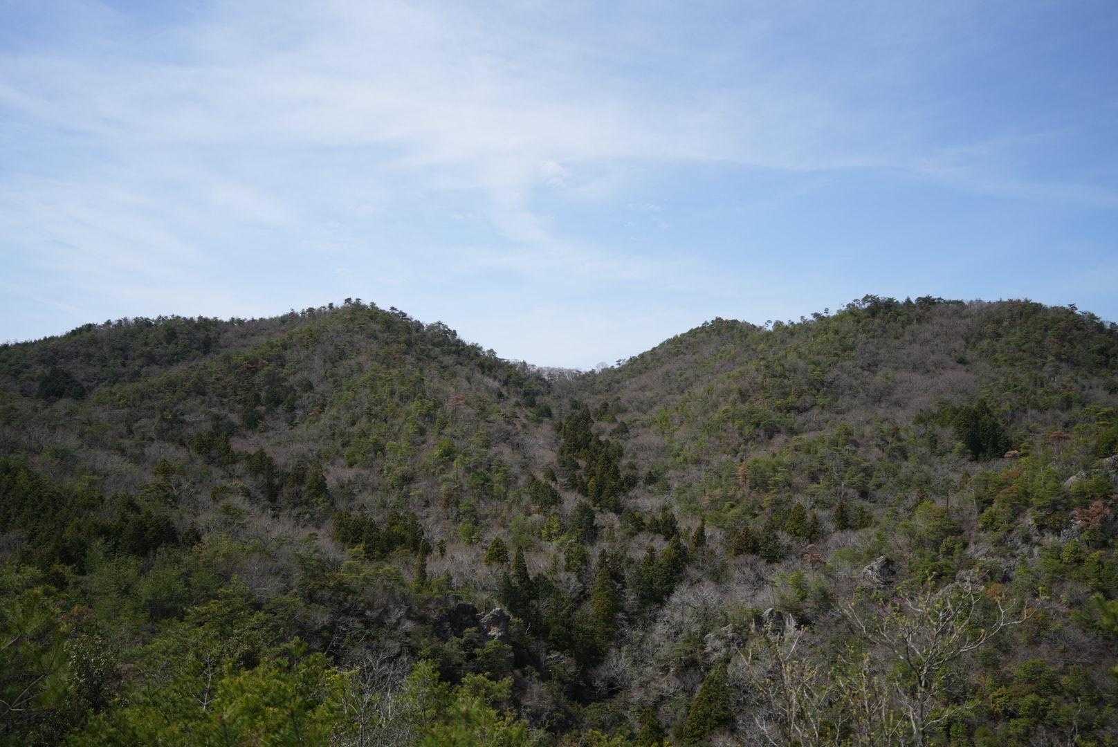 これから向かう西山。
(●´ω｀●)