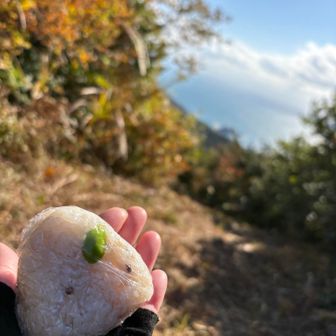 枝豆おにぎり🍙やぱ、日本人はお米でしょっ