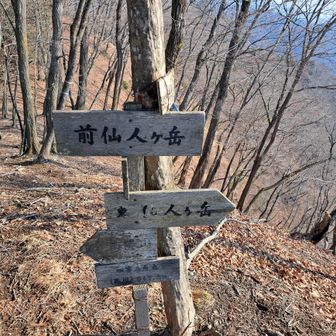 前仙人ヶ岳
