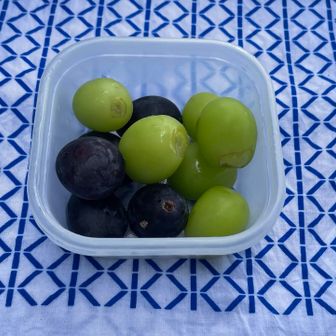 やっぱり葡萄様🍇はウメー😆