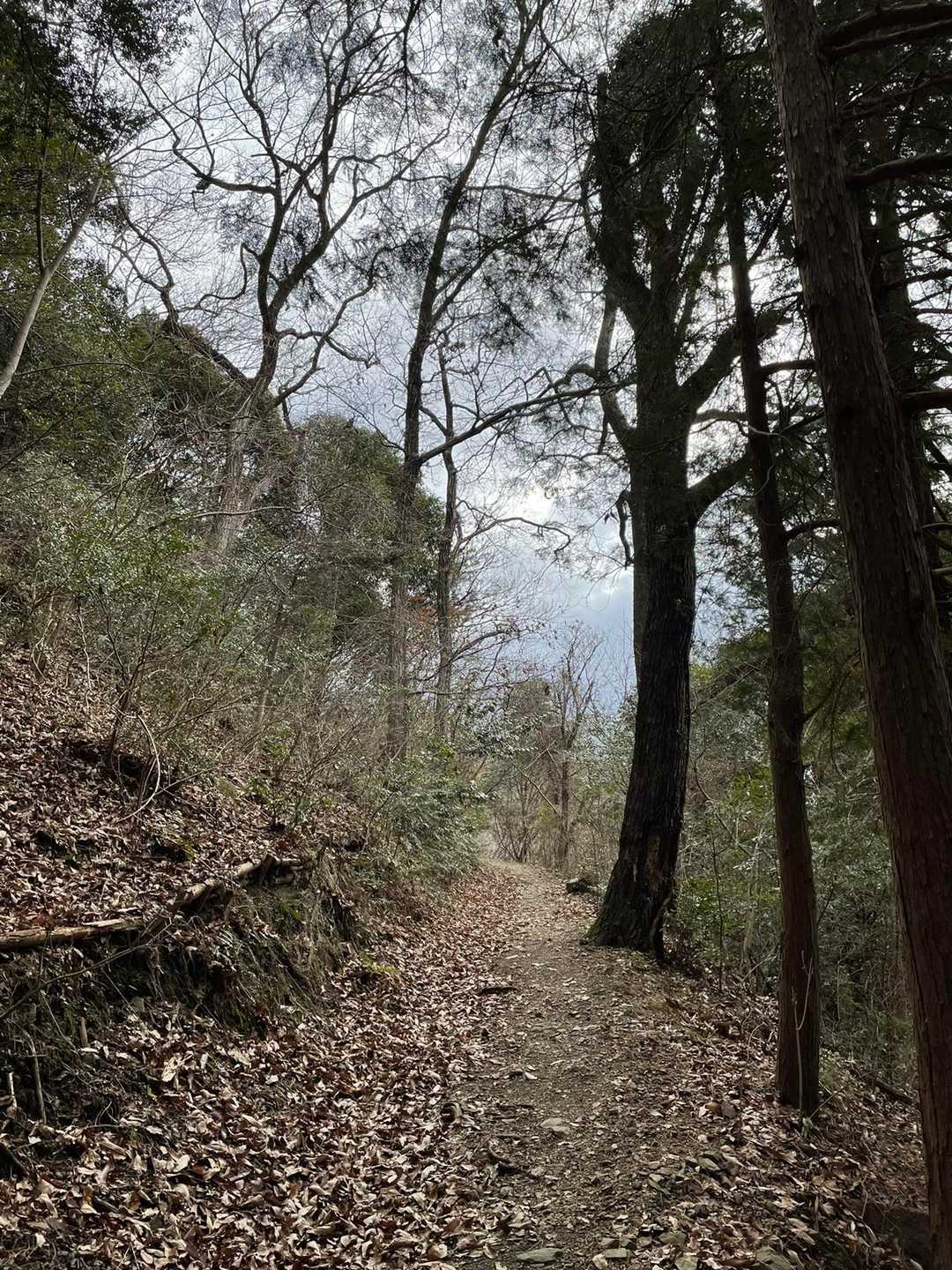 吉祥山 往復コースの写真