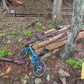 バス乗車中、長〜い林道を自転車や徒歩で行かれている方々がいました😱