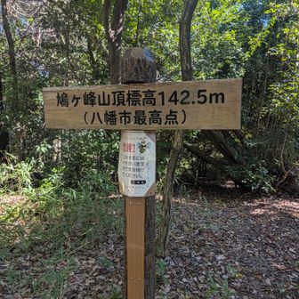 頂上