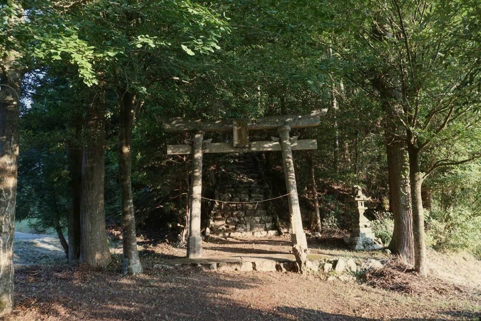 ここまで車であがってきてしもうた
道間違えた