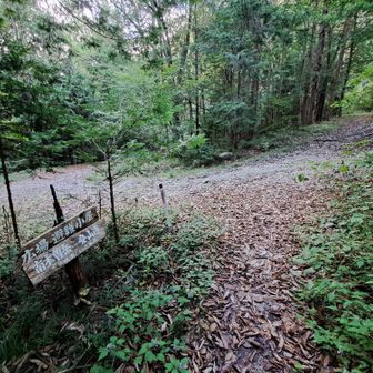 左からのは、額付本谷林道って名前らしいけど、下山に使おう👣