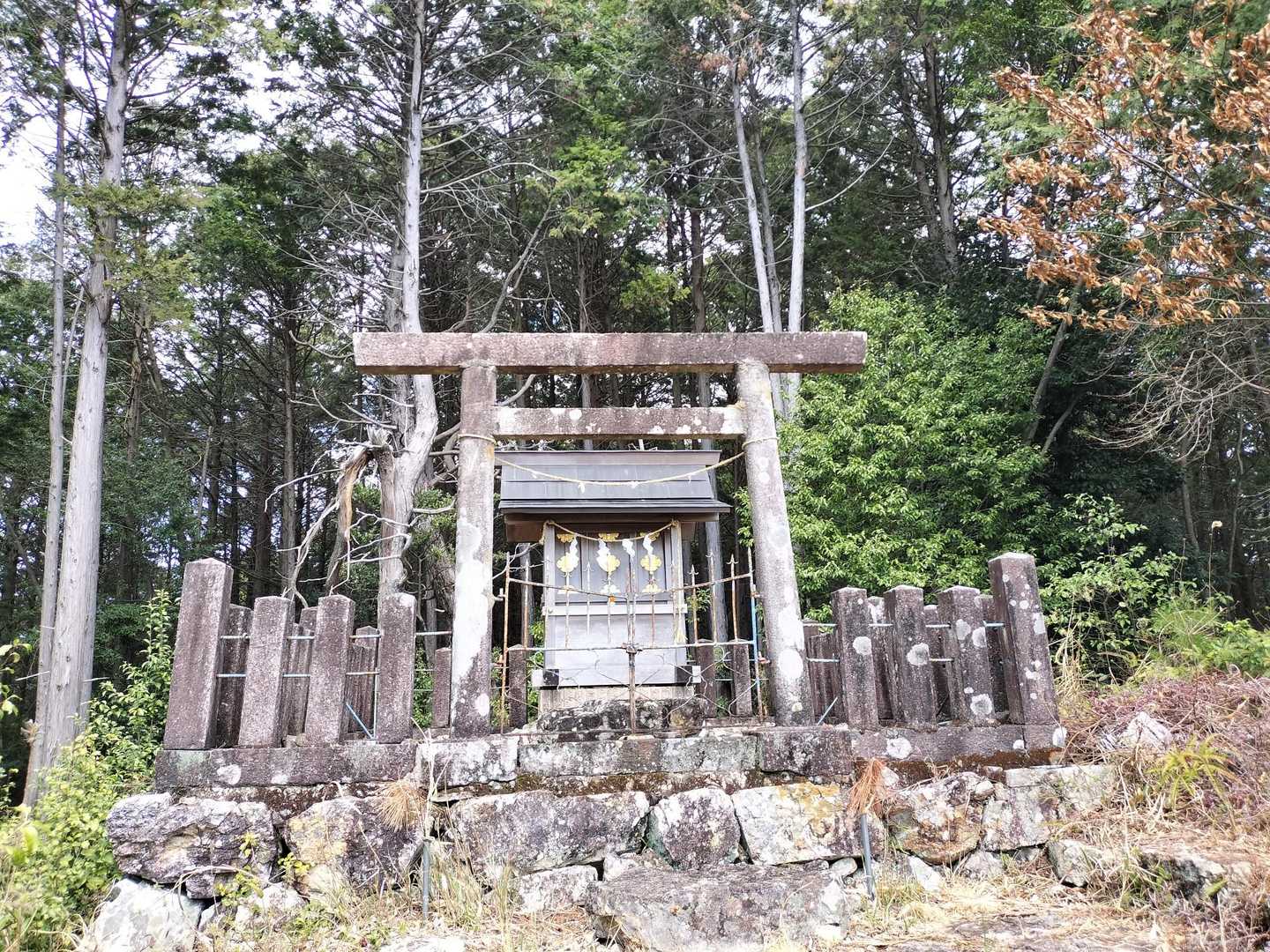 日吉神社-八王子神社-八王子山 往復コースの写真