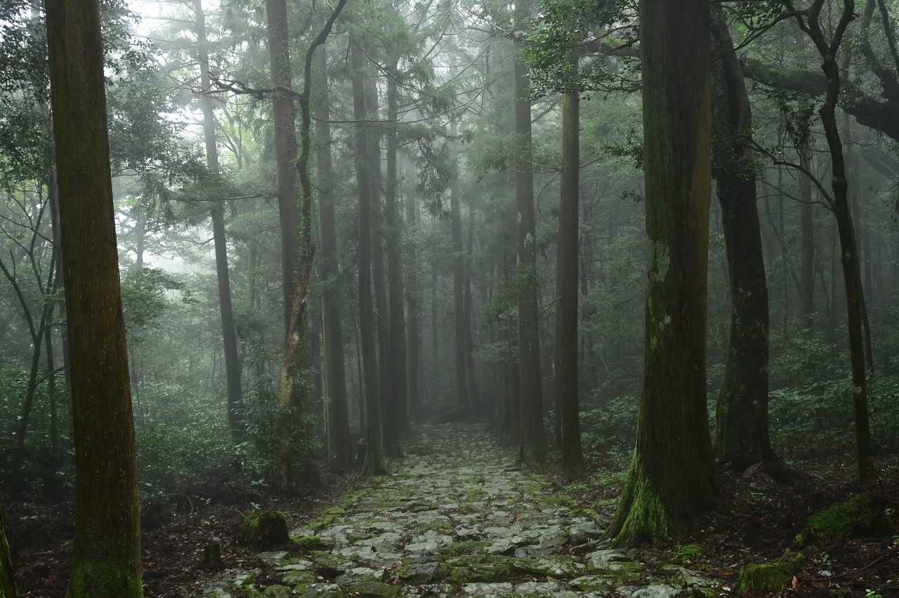 今日はここまでさぁ戻ろう