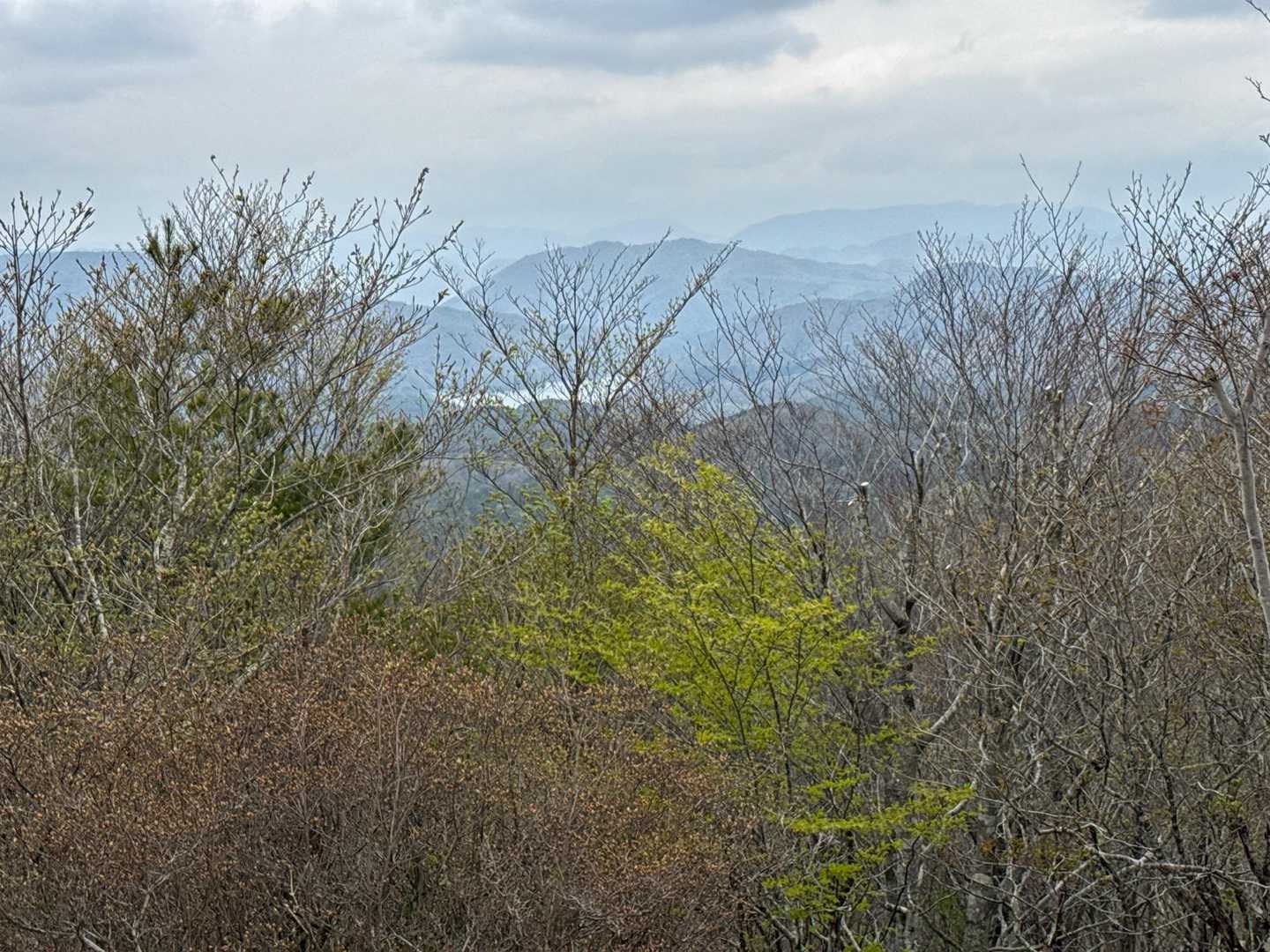 奥に見えるのは羽鳥湖