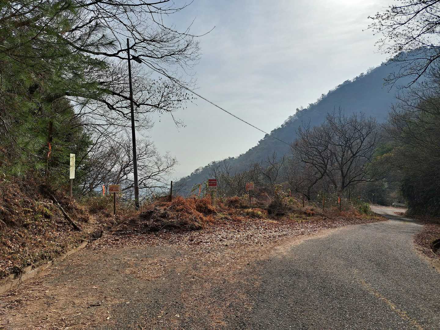 登山口付近の路肩に駐車して出発します。