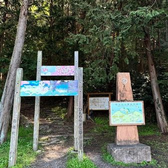 日守山にて下山